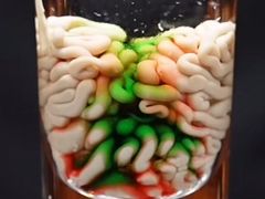 -龍歌自助小火锅(雨花台江南虹悦城店)