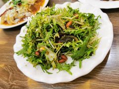 苦菊皮蛋-林之六八·6886大连老菜馆