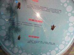 -萌宠奇缘