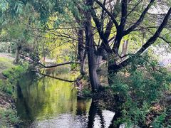 -长白岛森林公园