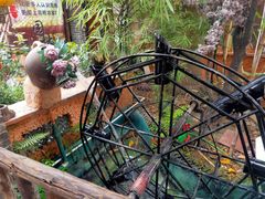 -园林美食城·本土农家菜(杨和镇店)