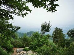 -阳台山自然风景区