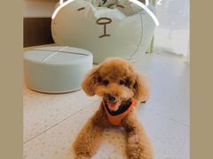 懒人沙发-太阳岛度假酒店