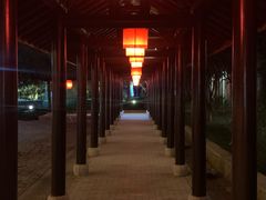 -杭州西溪喜来登度假大酒店