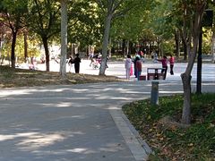 -东升文体公园