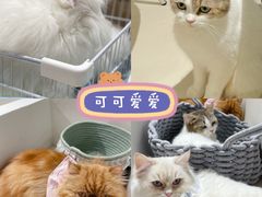 -怪兽屋·羊驼·猫咖·狗咖(俊华广场店)