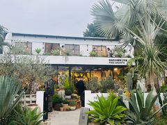 -自由生长植物工作室(深港花卉中心店)