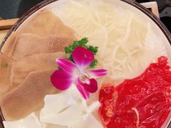 -大龙燚火锅(南山大道店)