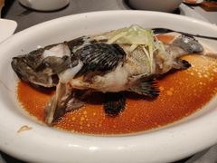 清蒸老虎斑-徐记海鲜(汉城湖|太奥店)