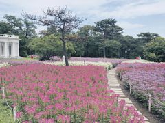 -沈阳植物园