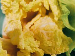 -探窝·竹笙椰子鸡(杨箕店)