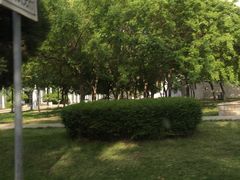 -东北大学(南湖校区)