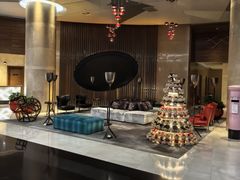 -南京禄口机场雅高铂尔曼大酒店