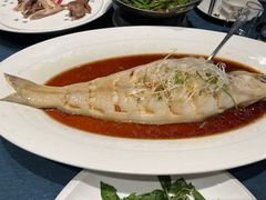 -金狮麟·新豫菜(金码大厦店)