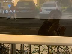 -麦当劳(中山公园龙之梦店)