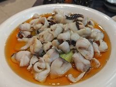 -丁老爷子苏香圆