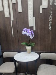 -加减美医美连锁品牌