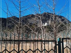 -香山公园
