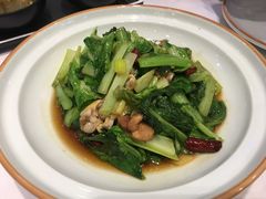 -到家尝北京菜(西坝河店)