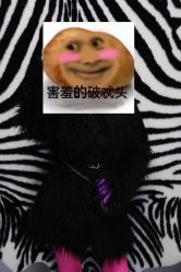 -鼎极摄影(世纪金源店)