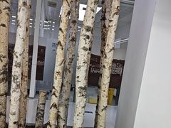 -极简口腔(总院)