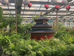 -南宫五洲植物乐园