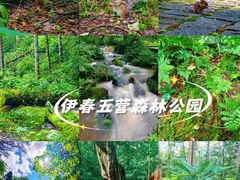 -五营国家森林公园
