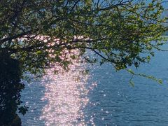 -洱海月湿地公园