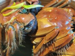 -蟹榭·本帮江浙菜·蟹宴(五角场合生汇商场店)