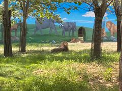 -秦皇岛野生动物园