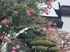 -武汉园博园(武汉自然博物馆)