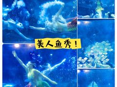 -重庆欢乐海底世界