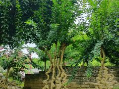 -武汉紫薇都市田园