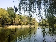 -廊坊市自然公园