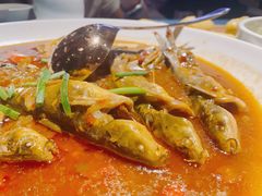 -晶泽丽琅·鱼鲜川菜(川师店)