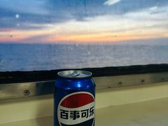 -九叔鸡饭(升平街店)