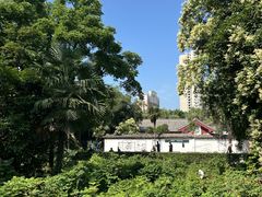 -西苑公园