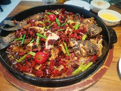 -老板恋上鱼(印象城店)