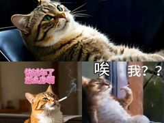 -永泰福朋喜来登酒店-宜客乐自助餐厅(远大路店)