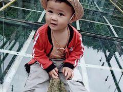 -九龙江国家森林公园