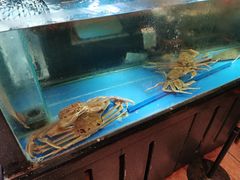 水产区-千代武日本料理(开发区店)