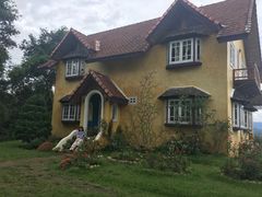 -黄色小屋