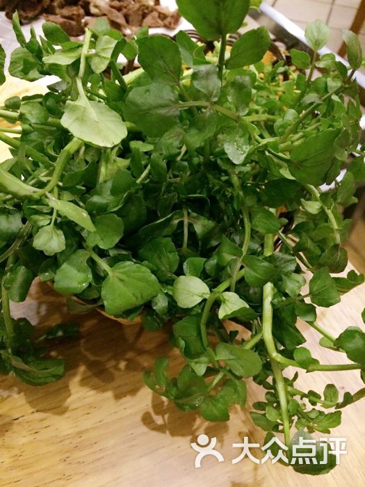首牛潮汕牛肉火锅(萧山店)西洋菜图片 - 第2张