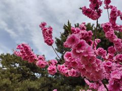 -国家植物园