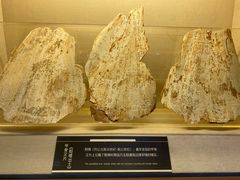 -上海邮政博物馆