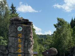 -汤旺河林海奇石景区