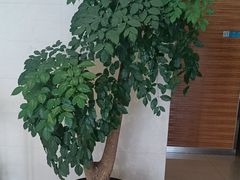 -锦江之星(淮安万达广场健康东路店)