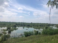 -黑河国家森林公园