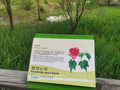 -西湖风景区-江洋畈生态公园
