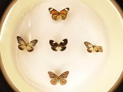 -下渚湖国家湿地公园科普馆